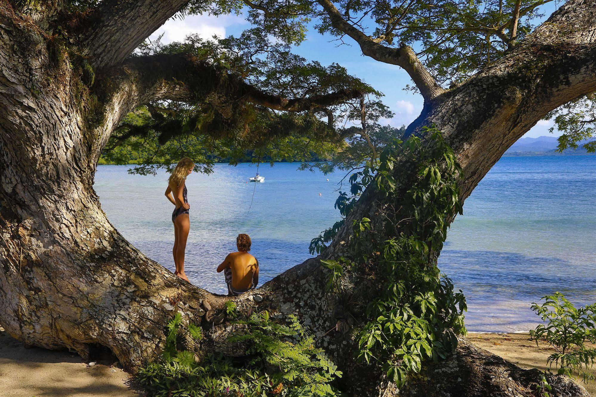 Sau Bay Resort - Off Taveuni Na Sau Bay Extérieur photo